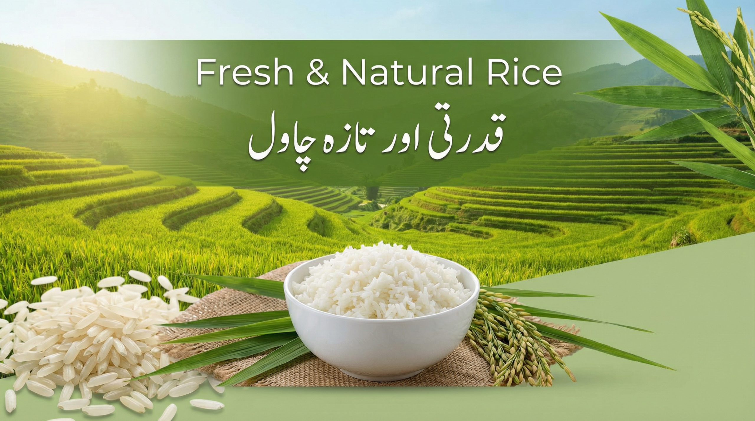 fresh natural rice banner